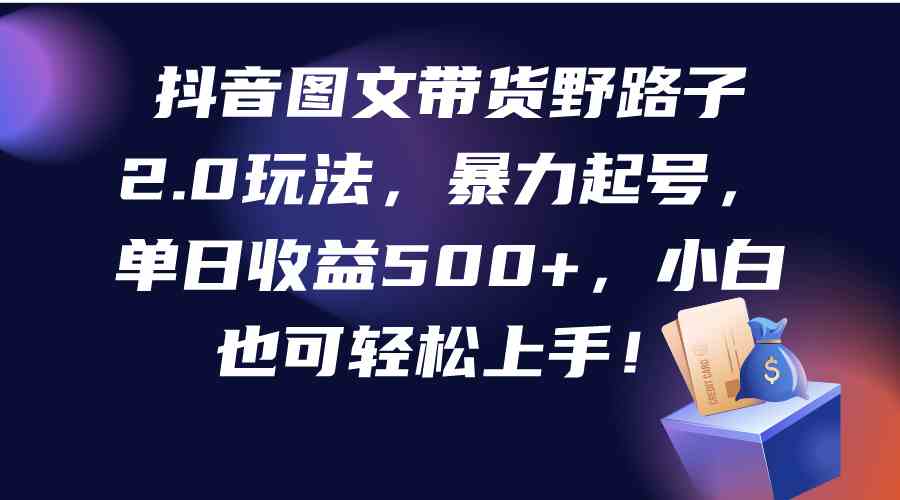 （9790期）抖音图文带货野路子2.0玩法，暴力起号，单日收益500+，小白也可轻松上手！-大大联盟