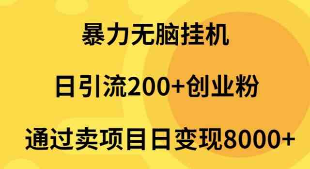 （9788期）暴力无脑挂机日引流200+创业粉通过卖项目日变现2000+-大大联盟